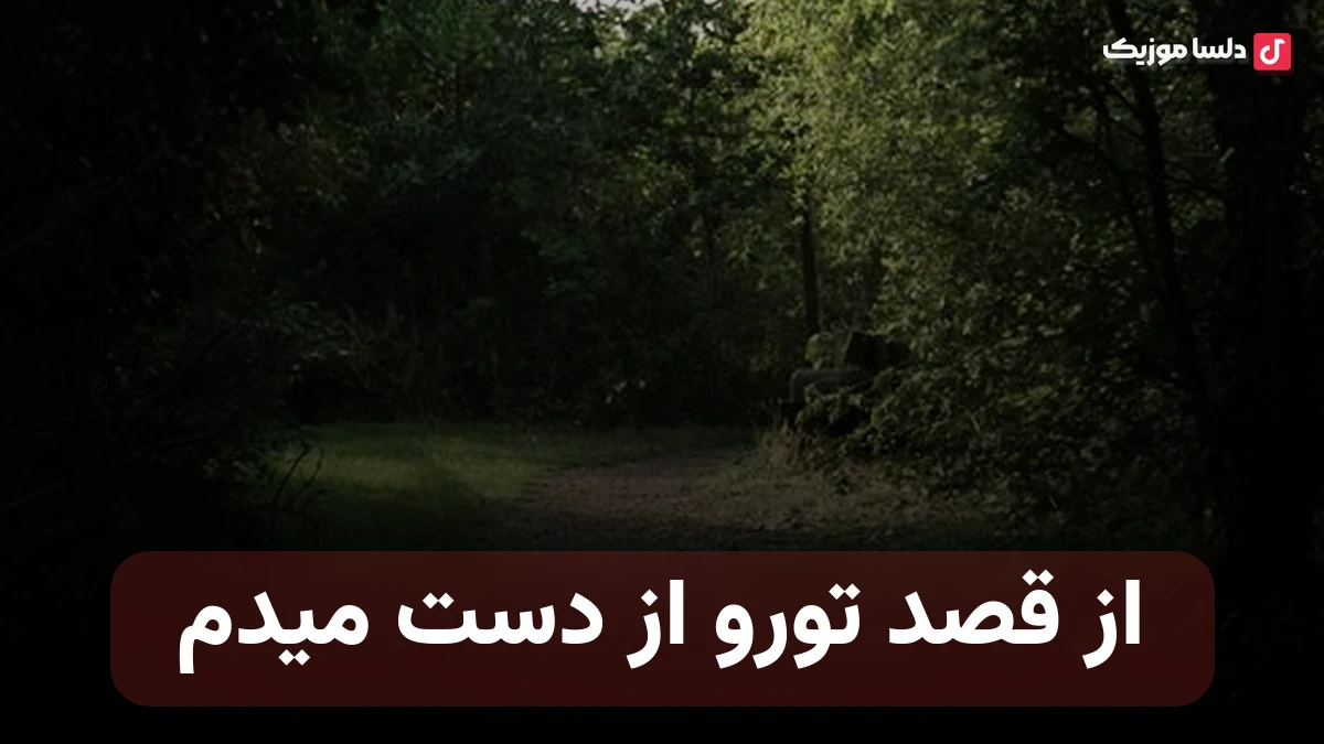 از قصد تورو از دست میدم نورا صدای زن